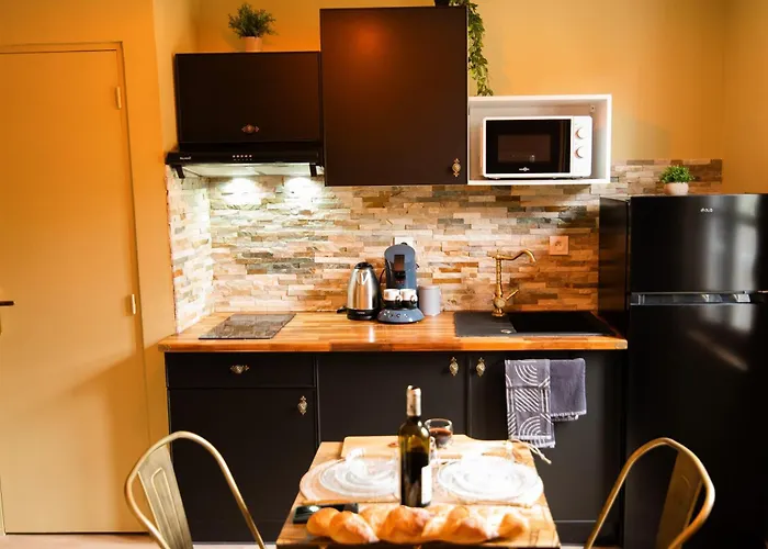 Confort ! Ville, Calme, Cinema Prive, Climatisation, Parking, Wifi * Carcassonne